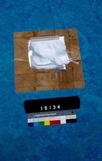 Sample of the material used to make the hull of catamaran MISS NYLEX
