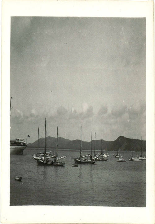 Photograph depicting luggers at Thursday Island