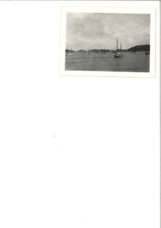 Photograph depicting a landscape at Thursday Island