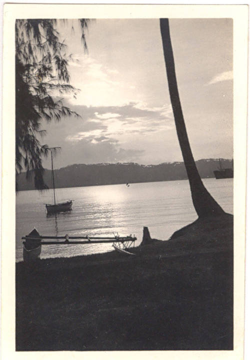 Photograph depicting tropical landscape