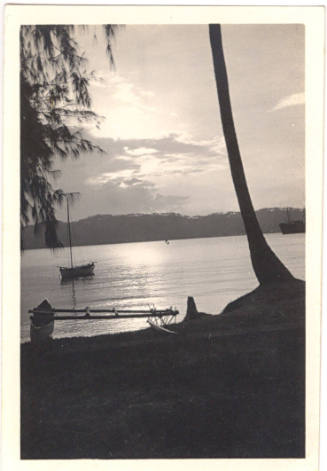 Photograph depicting tropical landscape