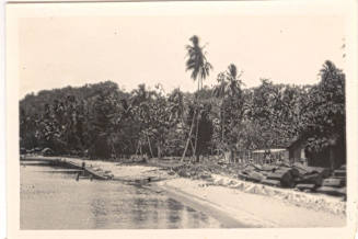 Photograph depicting tropical coastal village