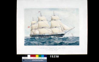 Clipper ship SHANNON, 1450 Tons.  C.L.F. Daniell Commander.  Built by Messrs Green of Blackwall