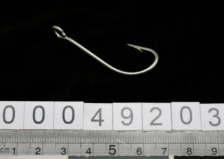 Single Mustad-Kirby Sea Hook