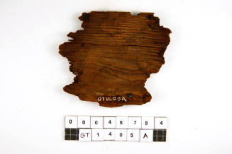 Wooden fragment from the wreck site of the VERGULDE DRAECK