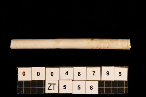 Tobacco pipe stem, from the wreck of the ZUYTDORP