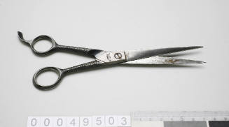 Pair of barber's scissors