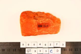 Amber piece from the wreck site of the VERGULDE DRAECK
