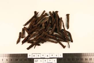 Nails from the wreck site of the VERGULDE DRAECK