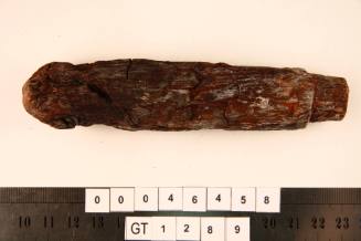 Tool handle from the wreck site of the VERGULDE DRAECK