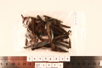Nails from the wreck of the VERGULDE DRAECK