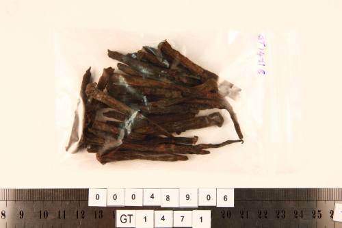 Nails from the wreck of the VERGULDE DRAECK