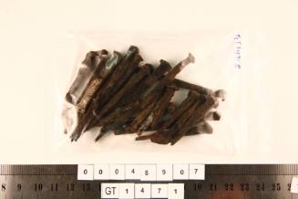 Nails from the wreck of the VERGULDE DRAECK