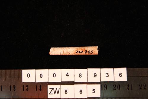 Clay pipe fragment, excavated from the wreck site of ZEEWIJK