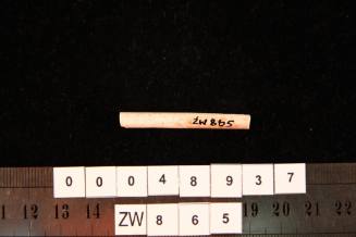 Clay pipe fragment, excavated from the wreck site of ZEEWIJK