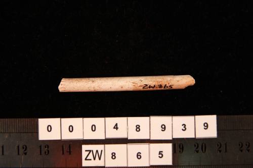 Clay pipe fragment, excavated from the wreck site of ZEEWIJK