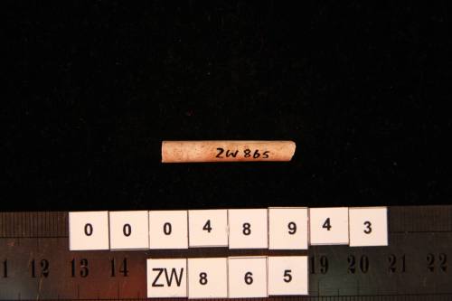 Clay pipe fragment, excavated from the wreck site of ZEEWIJK