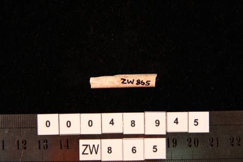 Clay pipe fragment, excavated from the wreck site of ZEEWIJK