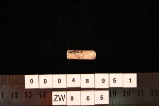 Clay pipe fragment, excavated from the wreck site of ZEEWIJK