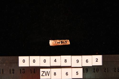 Clay pipe fragment, excavated from the wreck site of ZEEWIJK