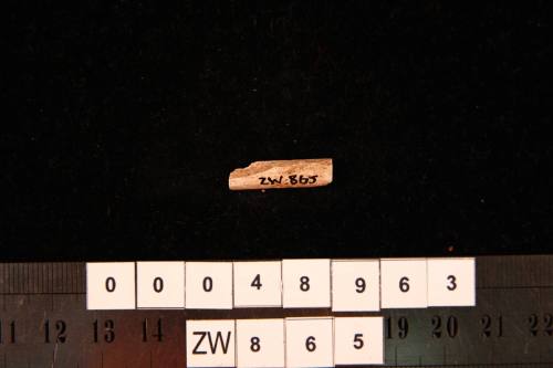 Clay pipe fragment, excavated from the wreck site of ZEEWIJK