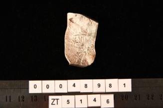 Eight real coin of Mexico, excavated from the wreck site of the ZUYTDORP