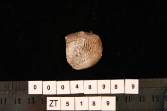 Four real coin of Mexico, excavated from the wreck site of the ZUYTDORP