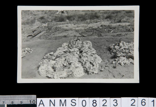 Silver gelatin photograph of wreath covered grave