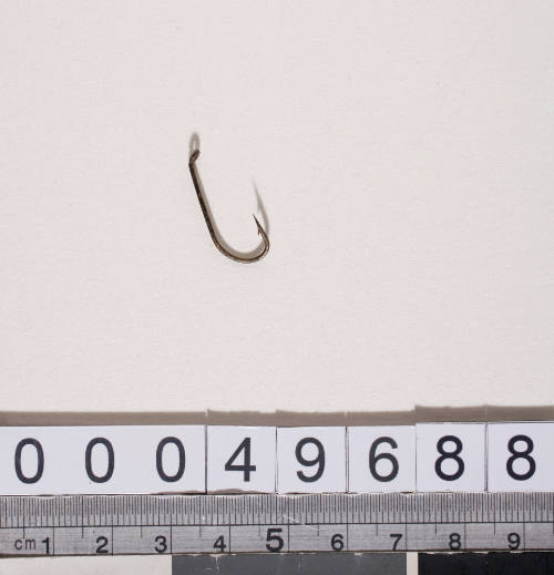 Fish hook