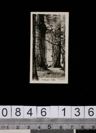 Canada, second series of 36. No. 2. Stanley Park, Vancouver, British Columbia