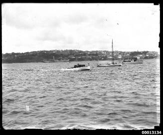 Speedboat racing across Rose Bay, Sydney Harbour