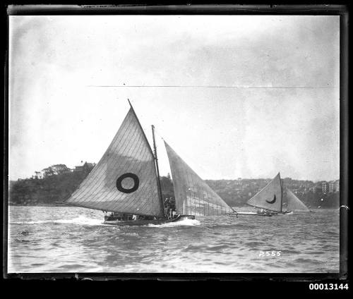 Two 18-foot skiffs under sail on Sydney Harbour