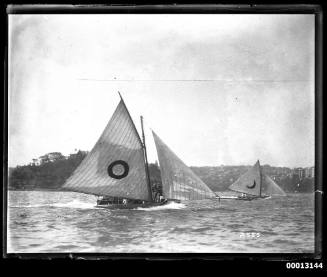 Two 18-foot skiffs under sail on Sydney Harbour