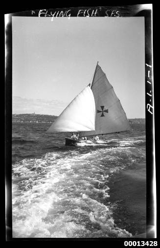 Probably 16-foot skiff FLYING FISH on Sydney Harbour