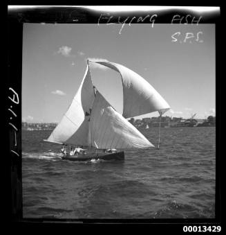 18-foot skiff FLYING FISH on Sydney Harbour