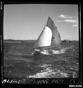 18-foot skiff FLYING FISH on Sydney Harbour