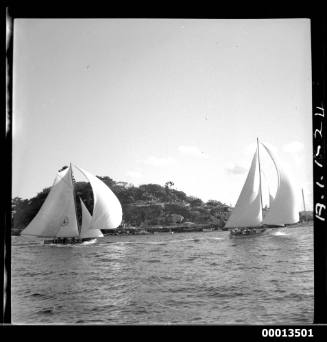 18-foot skiffs TARUA and ALSTAR II on Sydney Harbour