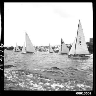 Yachts competing in the 1951 World's 18-foot skiffs Championship on Sydney Harbour