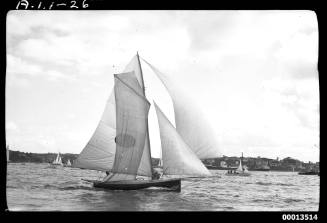 MYRA TOO experiencing a ringtail jam during a heat of the 1951 World's 18-foot skiffs Championship on Sydney Harbour