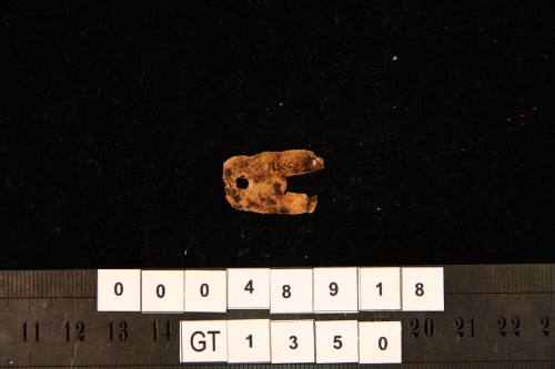 Fragment of a chape from the wreck site of the VERGULDE DRAECK