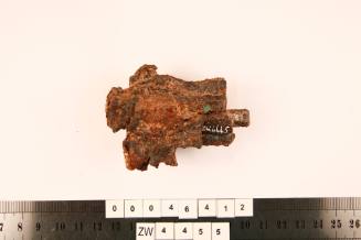 Nail fragment excavated from the wreck of the ZEEWIJK