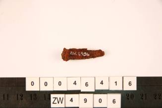 Nail excavated from the wreck of the ZEEWIJK
