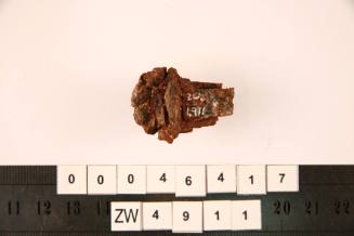 Nail fragment excavated from the wreck of the ZEEWIJK