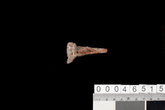 Knife fragment excavated from the wreck of the ZEEWIJK