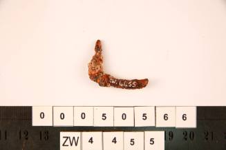 Nail fragment excavated from the wreck of the ZEEWIJK