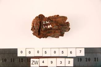 Nail fragment excavated from the wreck of the ZEEWIJK