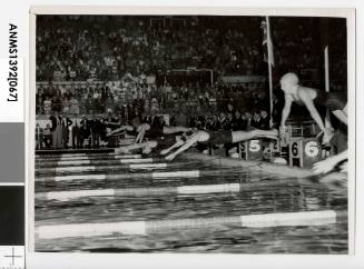 The start of a swimming race