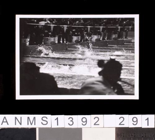 Swimmers during an event at the 1964 Tokyo Olympic Games