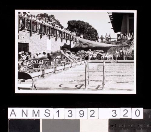 Swimmers diving into a college pool in the San Franscio Bay Area