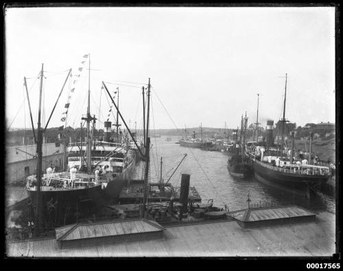 Vessels at Woolloomooloo Bay wharves